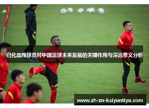 归化血缘球员对中国足球未来发展的关键作用与深远意义分析 归化血缘球员对中国足球未来发展的关键作用与深远意义分析