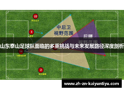 山东泰山足球队面临的多重挑战与未来发展路径深度剖析