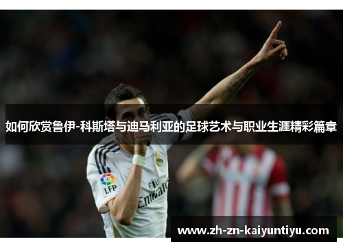 如何欣赏鲁伊-科斯塔与迪马利亚的足球艺术与职业生涯精彩篇章 如何欣赏鲁伊-科斯塔与迪马利亚的足球艺术与职业生涯精彩篇章