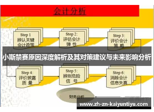 小斯禁赛原因深度解析及其对策建议与未来影响分析