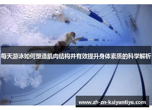 每天游泳如何塑造肌肉结构并有效提升身体素质的科学解析