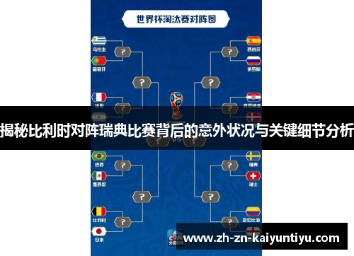 揭秘比利时对阵瑞典比赛背后的意外状况与关键细节分析 揭秘比利时对阵瑞典比赛背后的意外状况与关键细节分析