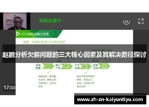 赵鹏分析欠薪问题的三大核心因素及其解决路径探讨 赵鹏分析欠薪问题的三大核心因素及其解决路径探讨