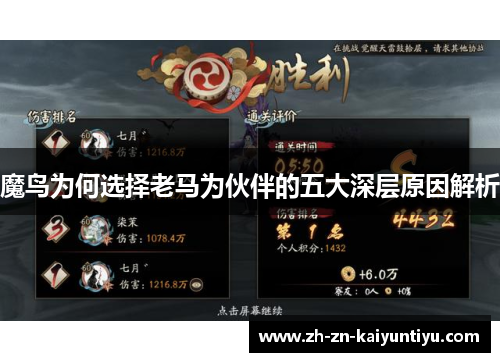 魔鸟为何选择老马为伙伴的五大深层原因解析