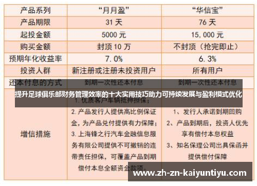 提升足球俱乐部财务管理效率的十大实用技巧助力可持续发展与盈利模式优化
